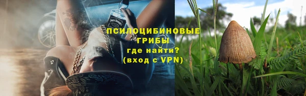 гидра Алзамай