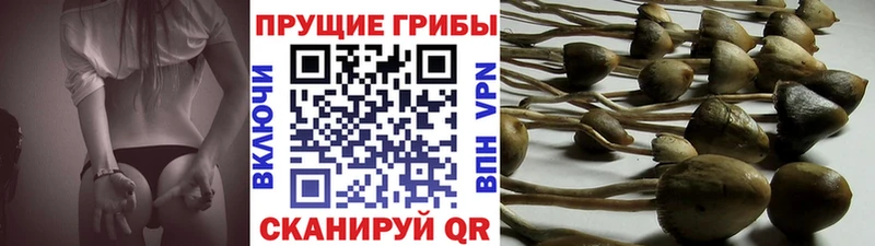 Псилоцибиновые грибы мухоморы  Трёхгорный 