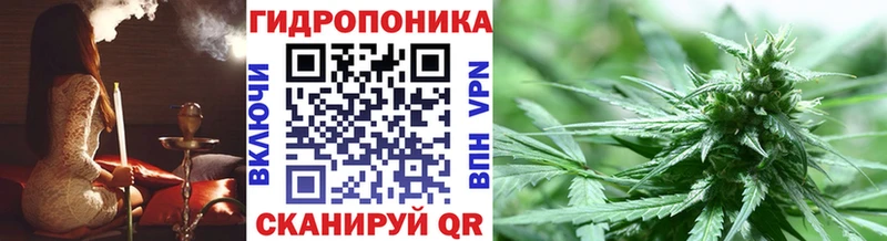 мориарти телеграм  Трёхгорный  Бошки Шишки OG Kush 